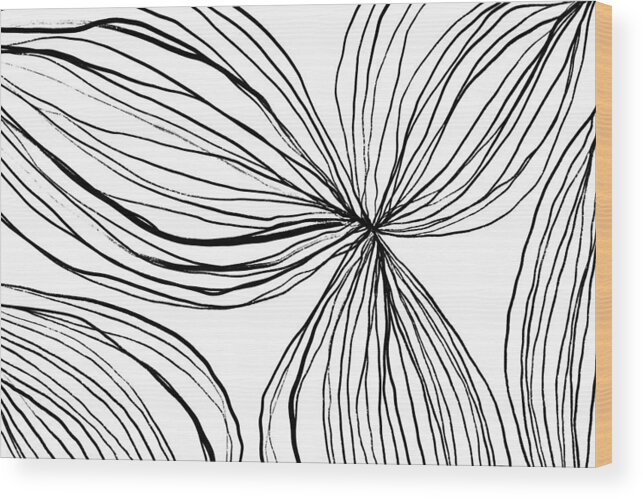 Lines
Flower
Feminine
Fragile
Lineart
Floral
Black
White Wood Print featuring the photograph Flowerina 1 #1 by Uplusmestudio