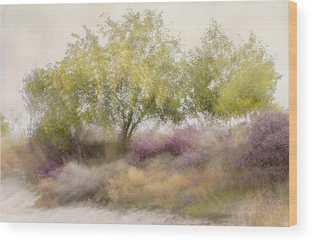 Flowering Wood Print featuring the photograph Flowering Heather #1 by Nel Talen