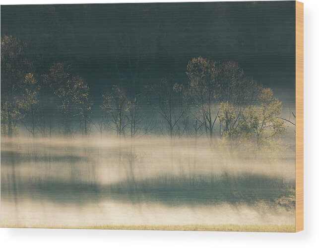 Adam Jones Wood Print featuring the photograph Foggy Meadow At Sunrise, Cades Cove #1 by Adam Jones