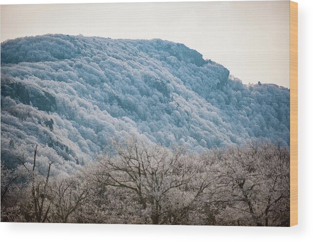 Blue Ridge Wood Print featuring the photograph Frost on the Mountain #1 by Mark Duehmig