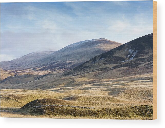 British Isles Wood Print featuring the photograph In The Highlands by Tanya C Smith