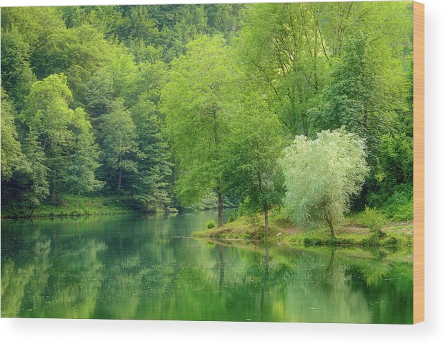 Quiet Wood Print featuring the photograph In The Heart Of Nature #1 by Mirko Chessari