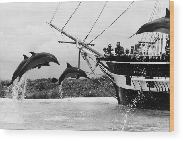 Following Wood Print featuring the photograph Leaping Dolphins #1 by Leonard G. Alsford