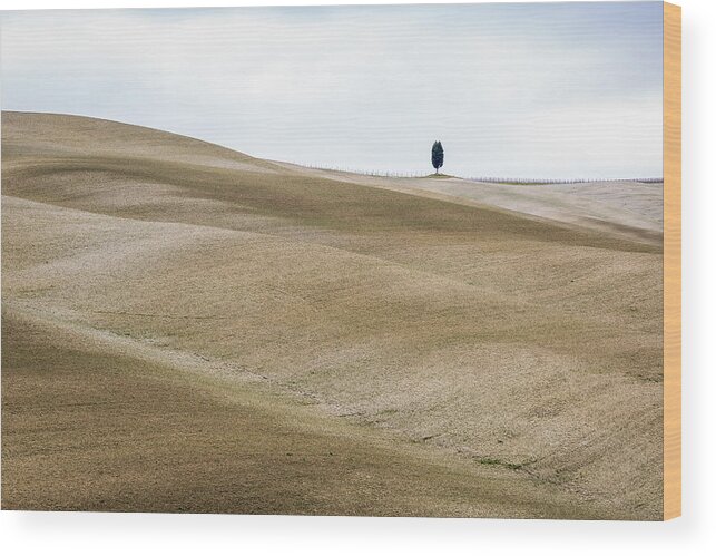 Cypress
Tuscany
Val D'orcia Wood Print featuring the photograph Lonely #1 by Sergio Barboni
