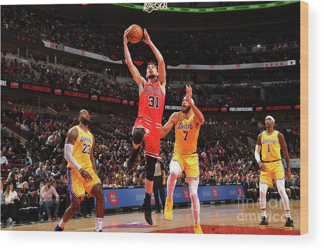Tomas Satoransky Wood Print featuring the photograph Los Angeles Lakers V Chicago Bulls by Jesse D. Garrabrant