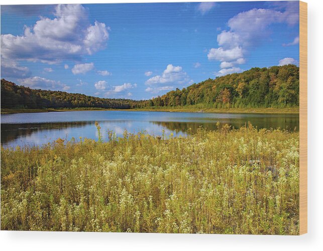 Allegheny Plateau Wood Print featuring the photograph Lower Woods Pond #1 by Michael Gadomski