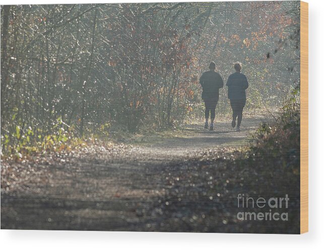 Dog Wood Print featuring the photograph Man Walking Dog On Old Railway Line #1 by Andy Davies/science Photo Library