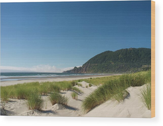 Beach Wood Print featuring the photograph Manzanita Beach Oregon #1 by David L Moore