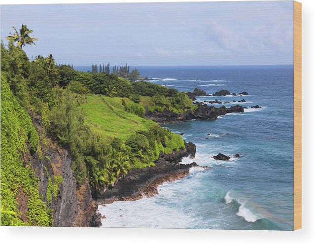 Maui Wood Print featuring the photograph Maui #1 by Chad Dutson