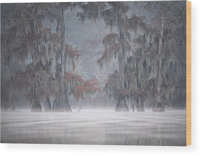 Water Wood Print featuring the photograph Misty Bayou #1 by Roberto Marchegiani