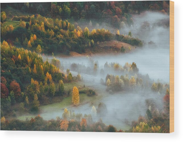Mist Wood Print featuring the photograph Morning Mist #1 by Haim Rosenfeld