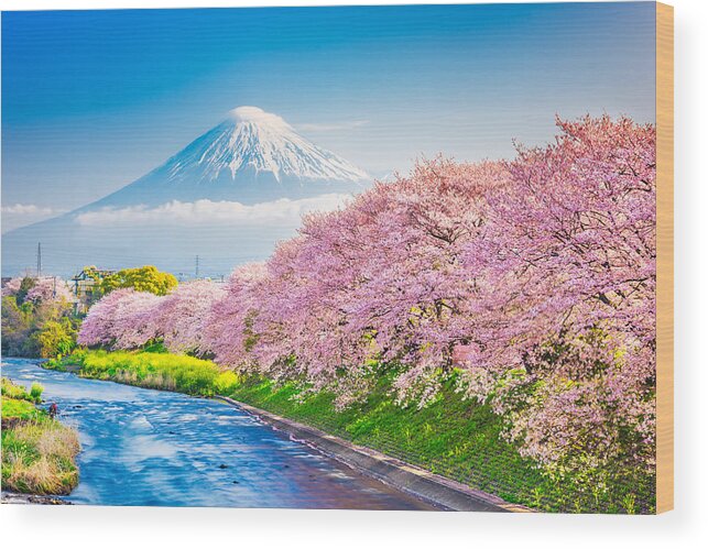Landscape Wood Print featuring the photograph Mt. Fuji, Japan Spring Landscape #1 by Sean Pavone