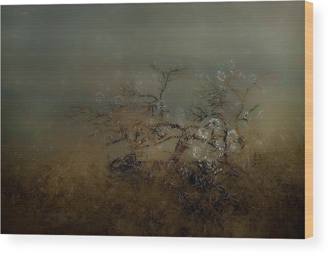 Tree Wood Print featuring the photograph Old Tree #1 by Nel Talen