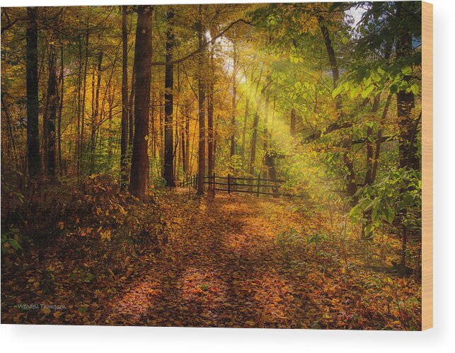 Kentucky Wood Print featuring the photograph On the Trail by Wendell Thompson