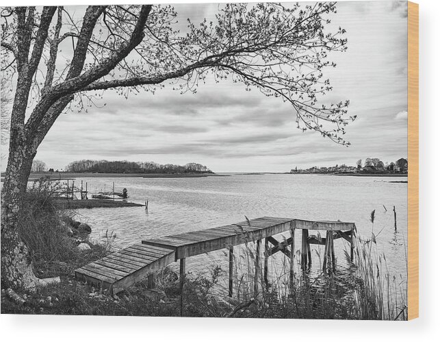 Coast Wood Print featuring the photograph Salt marsh in spring #2 by Marianne Campolongo