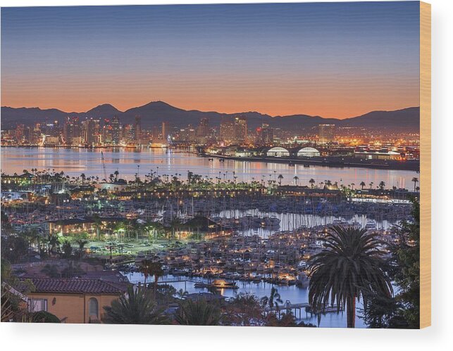 Landscape Wood Print featuring the photograph San Diego, California, Usa Downtown #1 by Sean Pavone