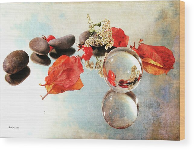 Contemporary Wood Print featuring the photograph Seasons in a Bubble #1 by Randi Grace Nilsberg