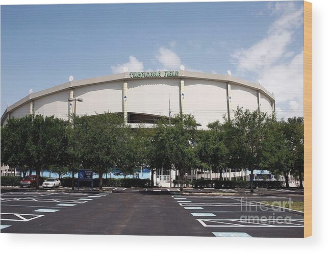 American League Baseball Wood Print featuring the photograph Seattle Mariners V Tampa Bay Rays by J. Meric