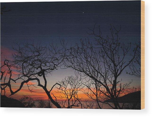 Water's Edge Wood Print featuring the photograph Silhouette Of Twisted Trees During #1 by Ogphoto