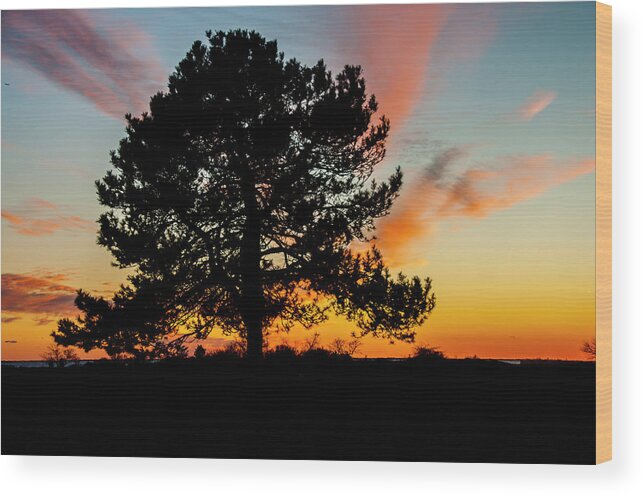 Tree Wood Print featuring the photograph Sunset Silhouette #2 by Cathy Kovarik