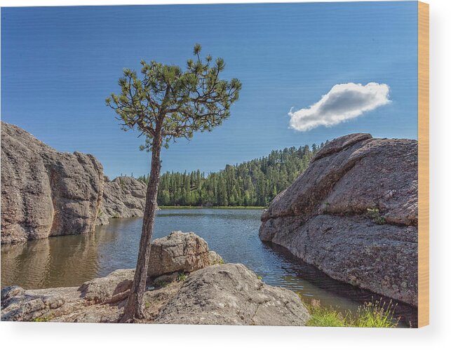 Custer State Park Wood Print featuring the photograph Sylvan Lake #1 by Chris Spencer