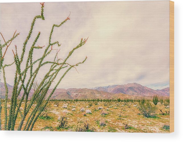 The Old West Wood Print featuring the photograph The Old West #1 by Joseph S Giacalone