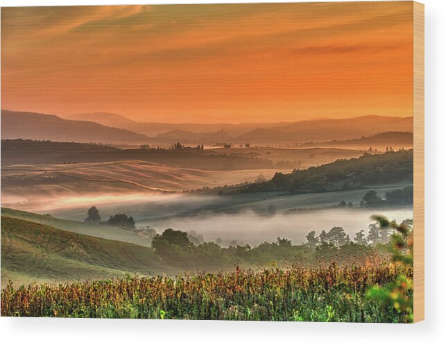 Scenics Wood Print featuring the photograph Tuscany Landscape #1 by Creativaimage