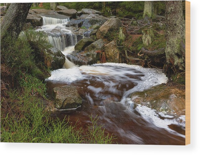Outdoors Wood Print featuring the photograph Warme Bode, Harz #1 by Andreas Levi