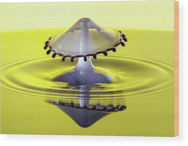 Water Wood Print featuring the photograph Water Drop #3 by Nicole Young