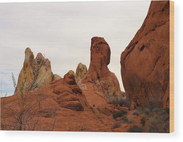Valley Of Fire State Park Wood Print featuring the photograph White Dome Hike #1 by Maria Jansson