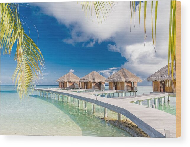 Landscape Wood Print featuring the photograph Beautiful Tropical Maldives Resort #10 by Levente Bodo