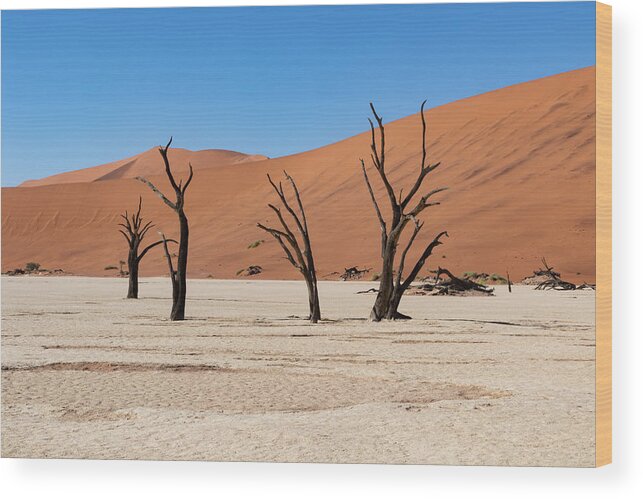 Landscape Wood Print featuring the photograph Deadvlei #10 by Mache Del Campo