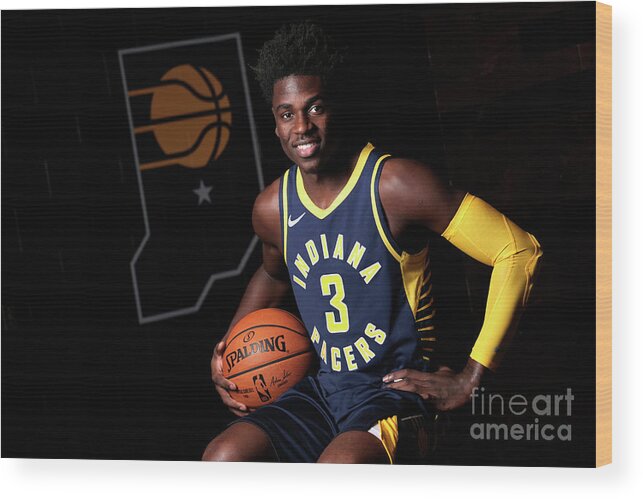Media Day Wood Print featuring the photograph 2018-19 Indiana Pacers Media Day by Ron Hoskins