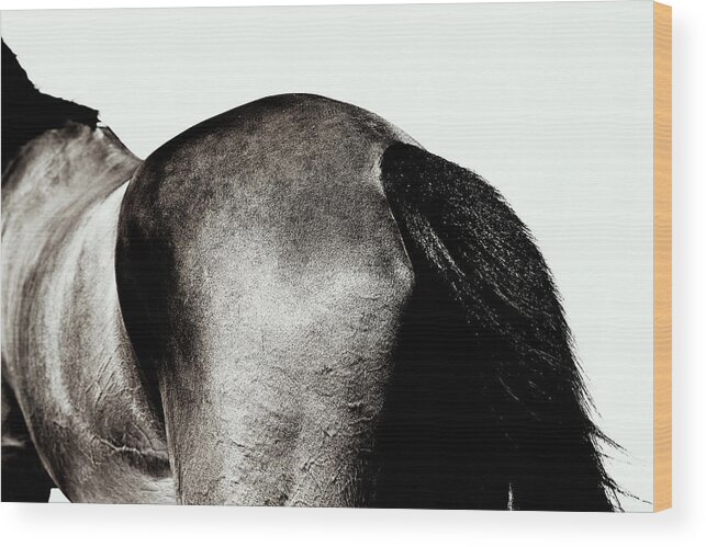 Horse Wood Print featuring the photograph Horse #2 by Yusuke Murata