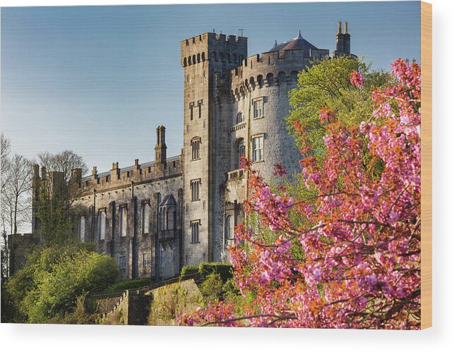 Estock Wood Print featuring the digital art Ireland, Kilkenny, Kilkenny Castle #2 by Massimo Ripani