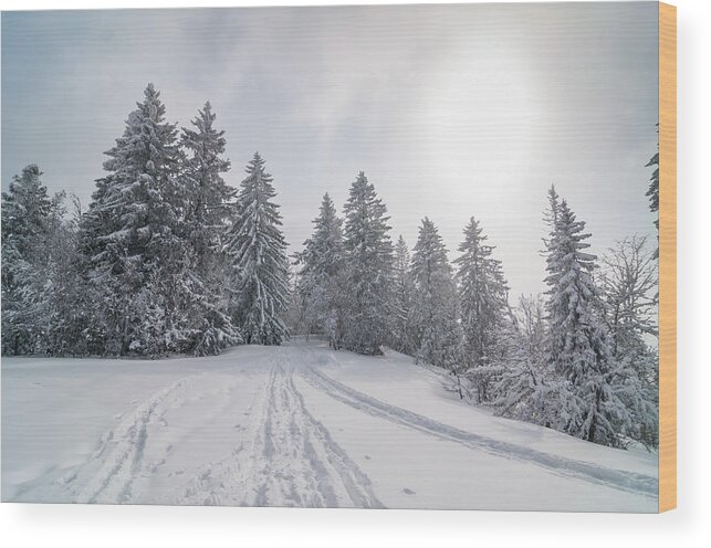 Scenics Wood Print featuring the photograph Winter Landscape With Snow And Trees #2 by Mmac72