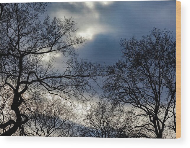 Trees Wood Print featuring the photograph Trees Clouds and Sky #28 by Robert Ullmann