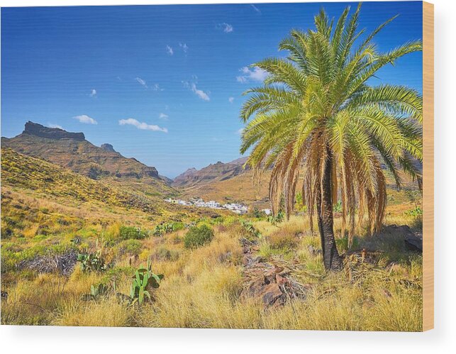 Landscape Wood Print featuring the photograph Canarian Landscape, Gran Canaria #3 by Jan Wlodarczyk