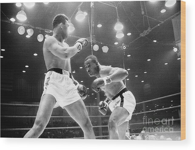 Florida Wood Print featuring the photograph Cassius Clay Vs Sonny Liston #3 by The Stanley Weston Archive