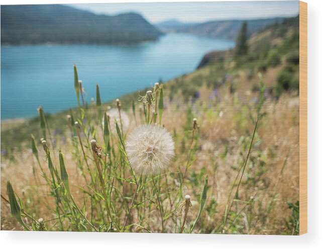 River Wood Print featuring the photograph Columbia River Scenes On A Beautiful Sunny Day #3 by Alex Grichenko