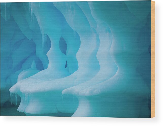 Melting Wood Print featuring the photograph Iceberg, Antarctica #3 by Mint Images/ Art Wolfe