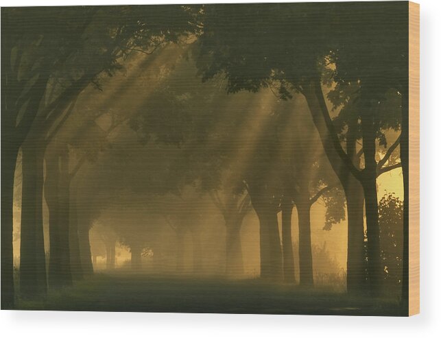 Landscape Wood Print featuring the photograph Road... #3 by Krzysztof Browko