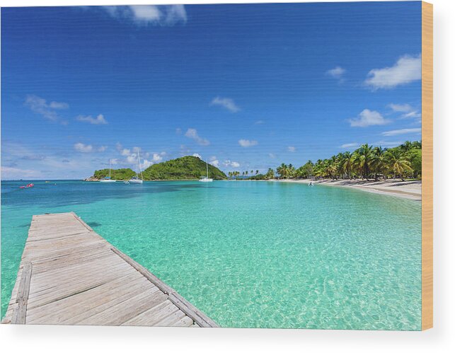 Water's Edge Wood Print featuring the photograph Salt Whistle Bay, Mayreau #3 by Argalis