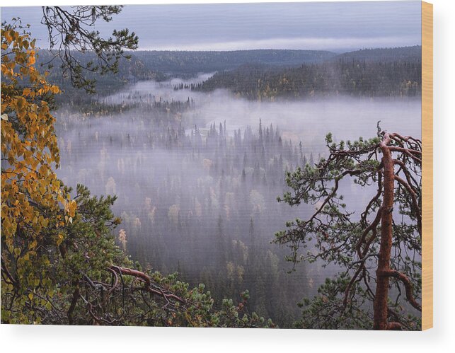 Landscape Wood Print featuring the photograph Scenic Landscape View With Morning Fog #3 by Jani Riekkinen