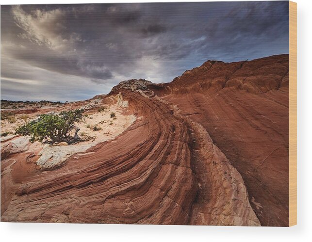 Landscape Wood Print featuring the photograph White Pocket Rock Formations, Vermilion #3 by DPK-Photo