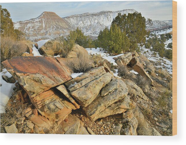 Colorado National Monument Wood Print featuring the photograph Colorado National Monument's East Entrance #4 by Ray Mathis