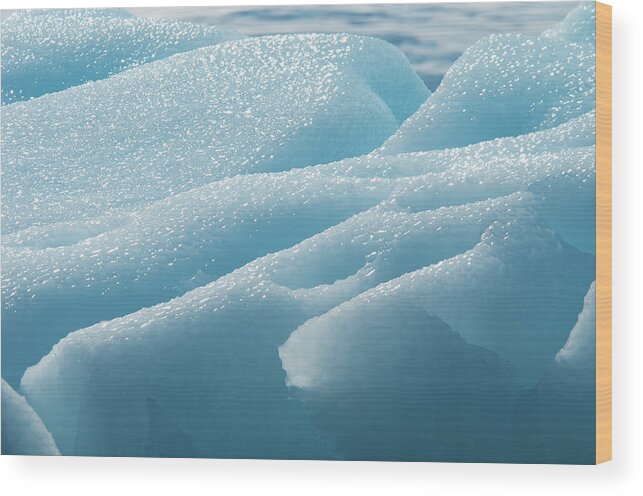 Melting Wood Print featuring the photograph Iceberg Along The Antarctic Peninsula #4 by Mint Images - David Schultz
