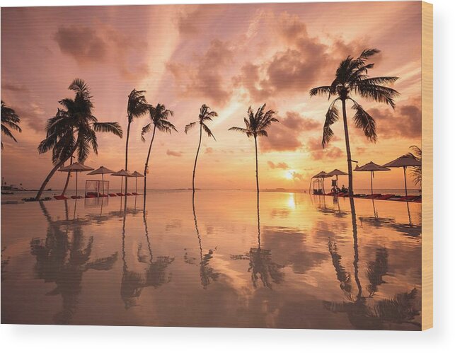 Landscape Wood Print featuring the photograph Luxury Resort Beach. Beautiful Poolside #4 by Levente Bodo