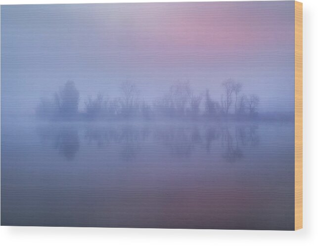 Morning Wood Print featuring the photograph Morning Fog #4 by Wei Liu