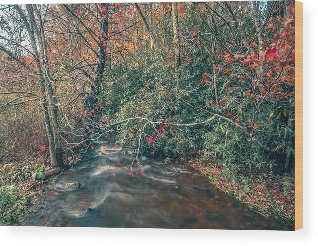 Meadow Wood Print featuring the photograph Scenic Views Along Virginia Creeper Trail #4 by Alex Grichenko
